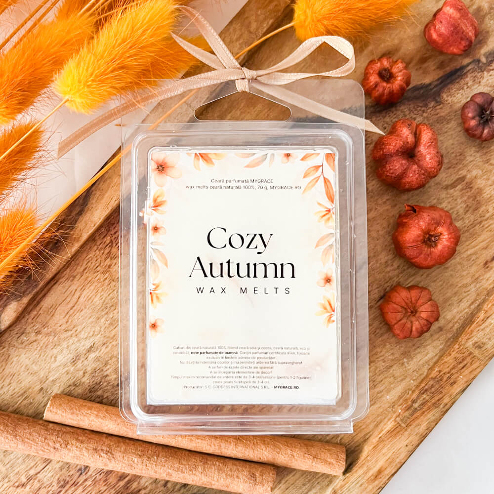 Duftwachs-Würfel „Cozy Autumn“, natürliches Wachs, 70 g, warmer Apfel- – MYGRACE