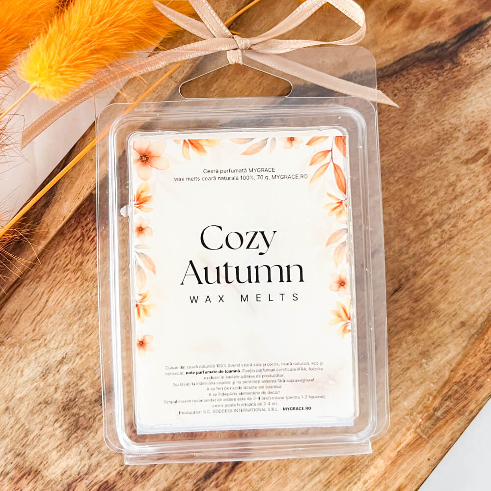 Ceară parfumată cuburi ”Cozy Autumn”, ceară naturală, 70 g