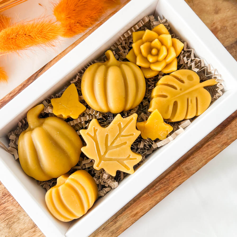 Cadou ceară de albine pentru purificarea aerului, wax melts ceară naturală, diverse figurine - set cadou toamnă